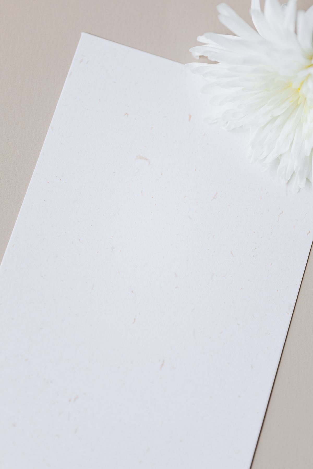 Business Stationery — S.Creation